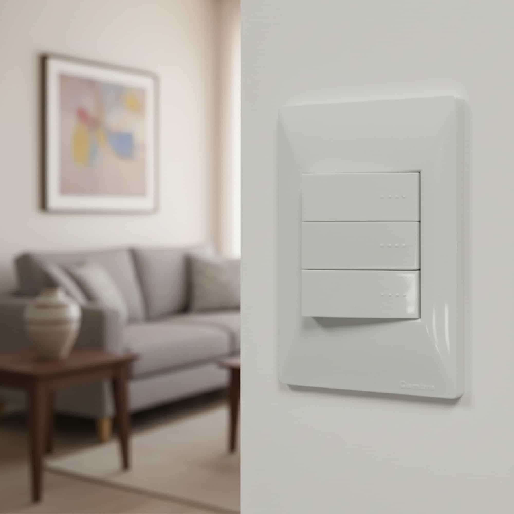 TOMA 3 EN LÍNEA BIPOLAR L/T 10A 250V GRIS CON PROTECCION (1 MÓDULO)