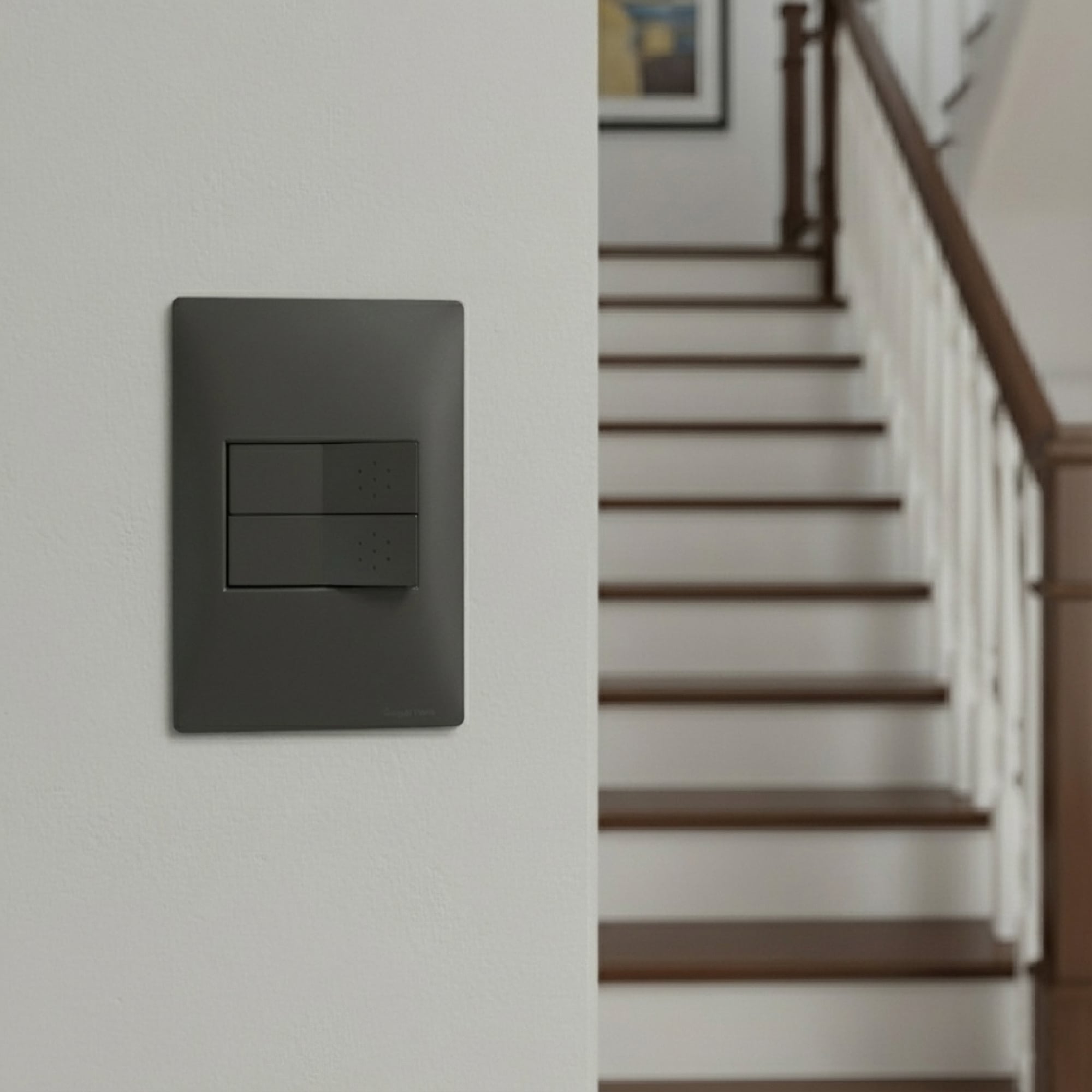 TOMA 3 EN LÍNEA BIPOLAR L/T 10A 250V GRIS CON PROTECCION (1 MÓDULO)