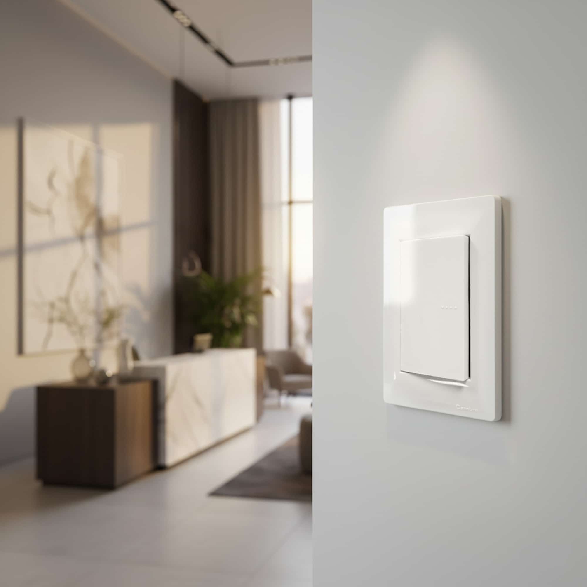 PLACA BLANCA (SIGLO XXII) 3 MÓDULOS